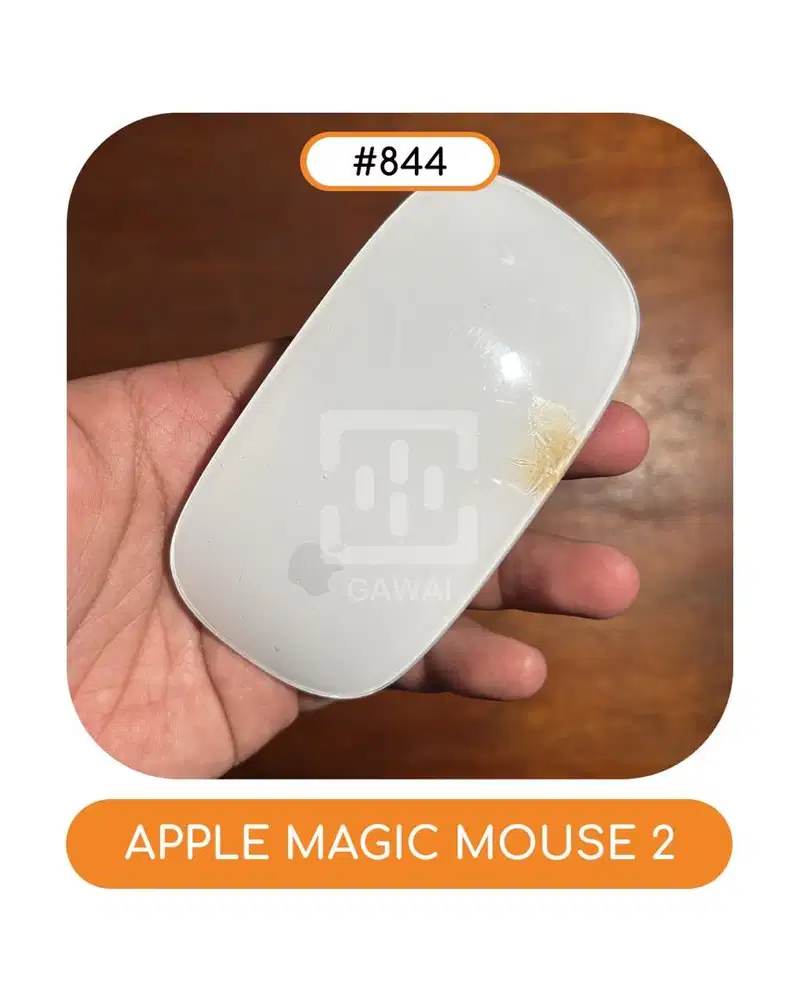 #844 Apple Magic Mouse 2