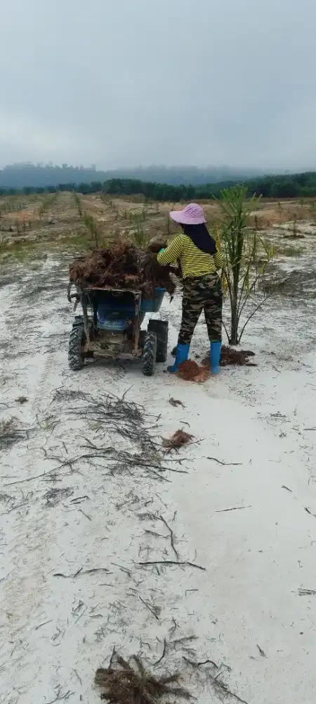 Saya mencari pekerjaan