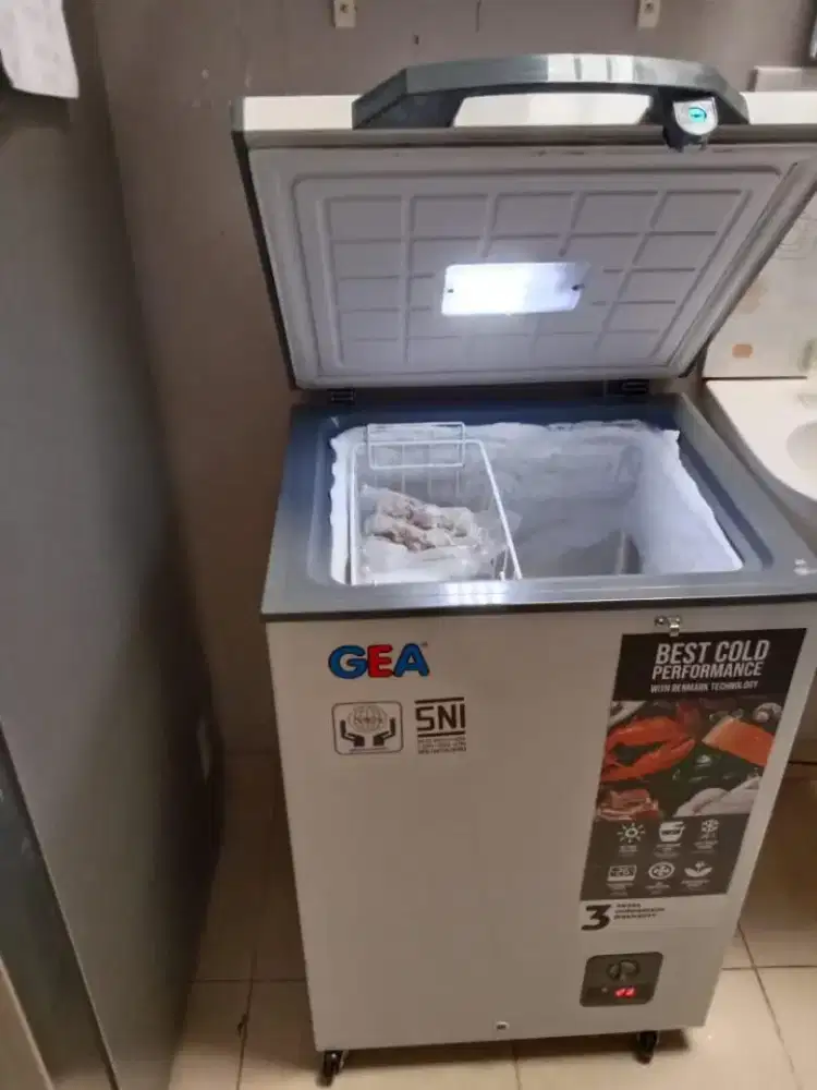 Freezer Box Gea 100 Liter