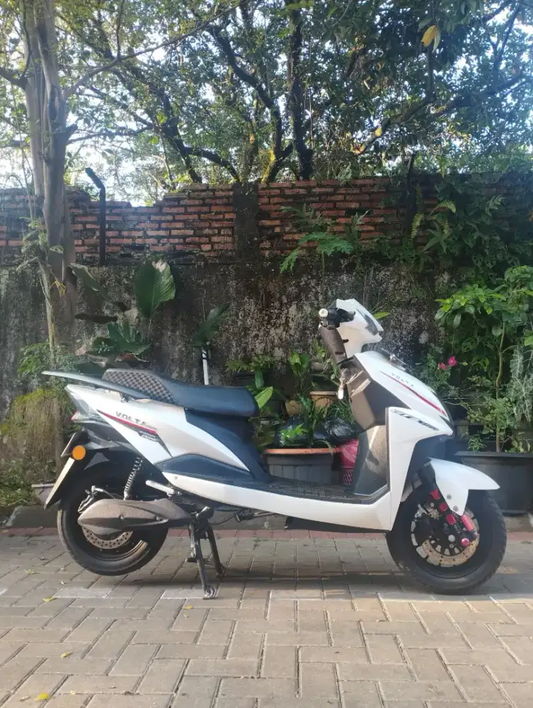 Volta 401 - Pear White (Rare)