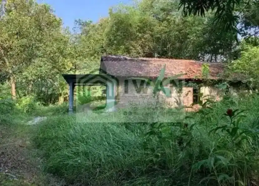 Tanah Luas Dapat 2 Akses Jalan Bonus Bangunan & View Sawah