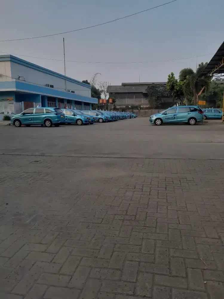 Lowongan driver taksi blue bird