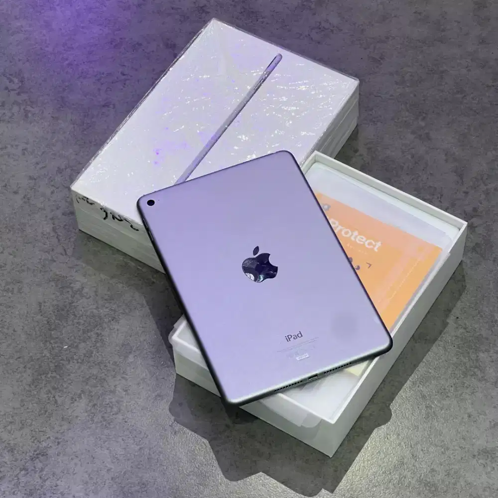 iPad mini 4 128 ex iBox mulus no minus