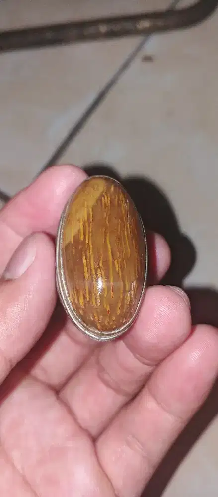 Cincin fosil bambu kuning