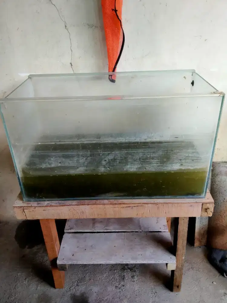 Aquarium dan meja ikan