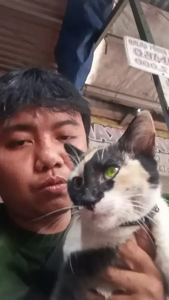 Cari pekerjaan freelance