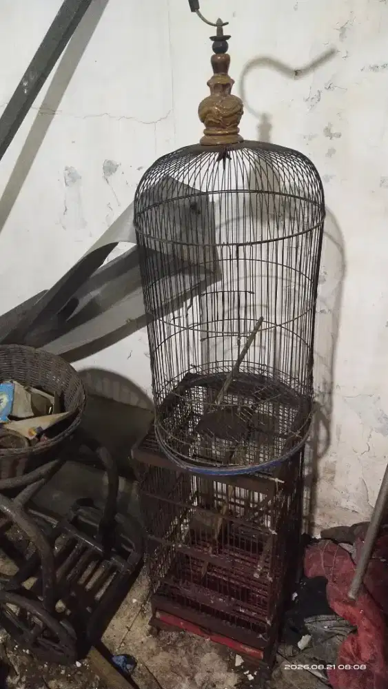 Kandang burung kandang kicau