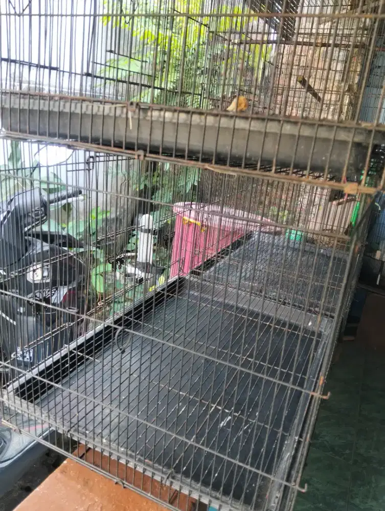 Kandang burung besi