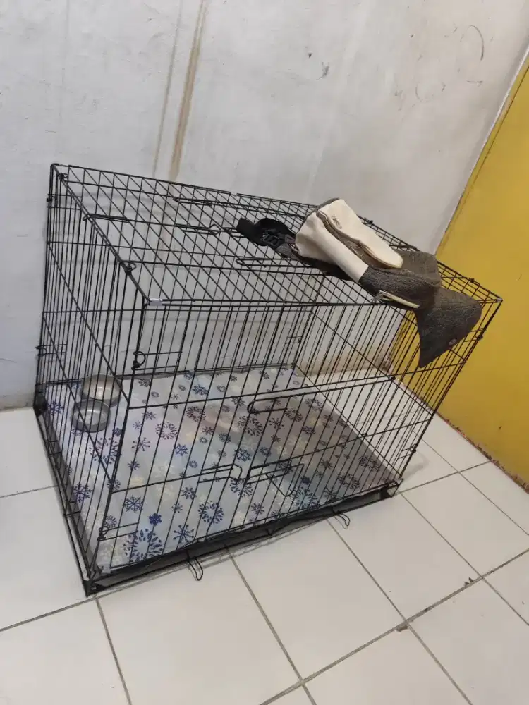Kandang kucing / anjing Jumbo