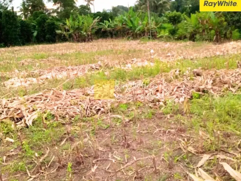 Dijual Tanah di Natar, LAmpung Selatan (Kode : RE 3757)