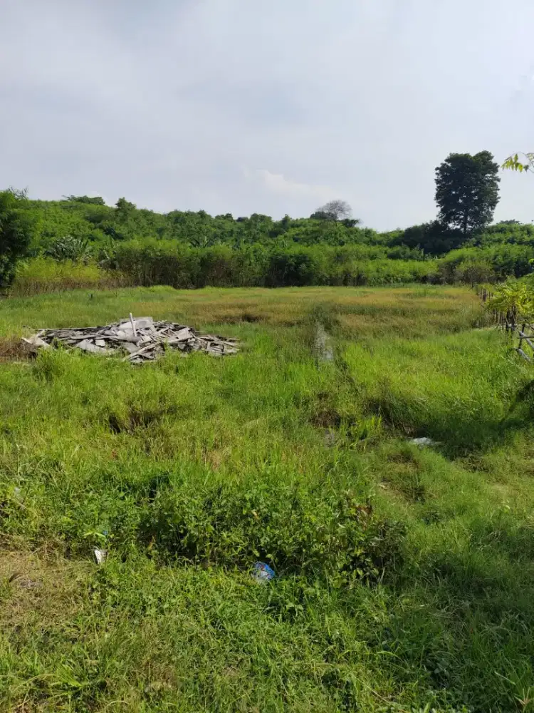 Tanah dijual SHM