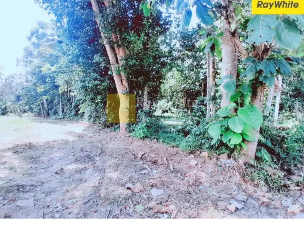 Dijual Tanah di Tanjung Bintang, Bandar Lampung (kode : RE 3761)