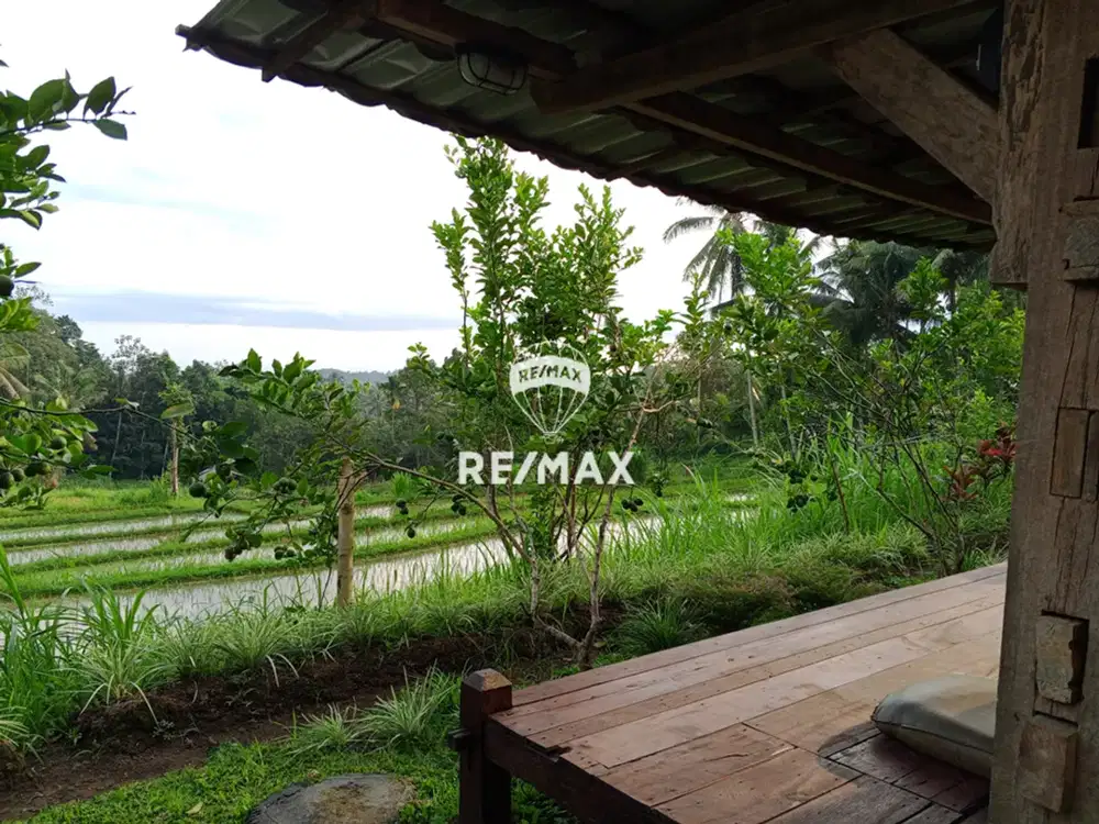 Dijual - Homestay di Kawasan Sejuk & Asri Banyuwangi