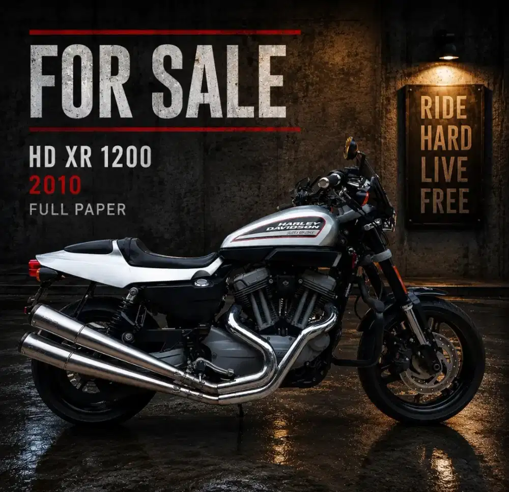 XR 1200 2010 Silver Full Paper