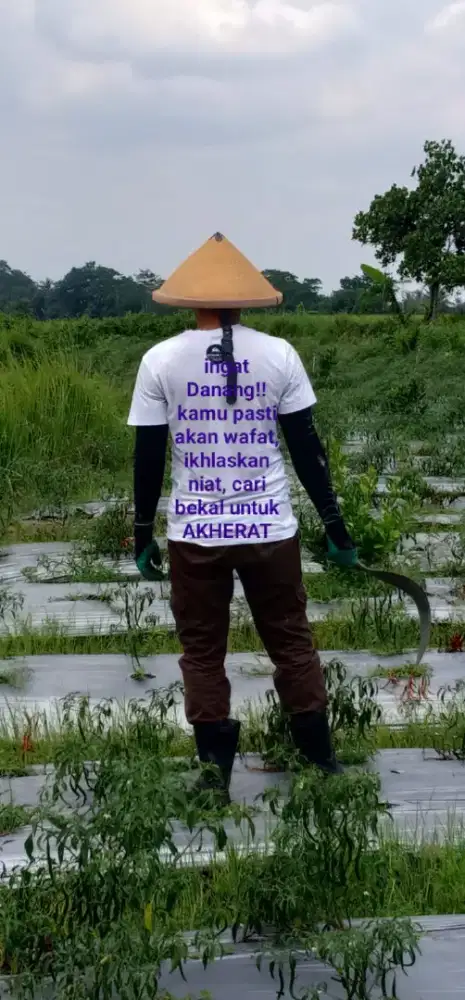 Driver dan kerja apa aja