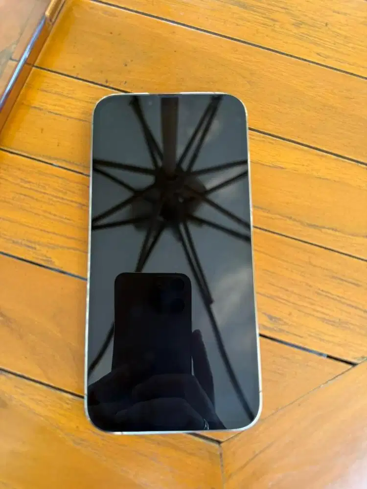 Iphone 13 Pro Max 128 GB
