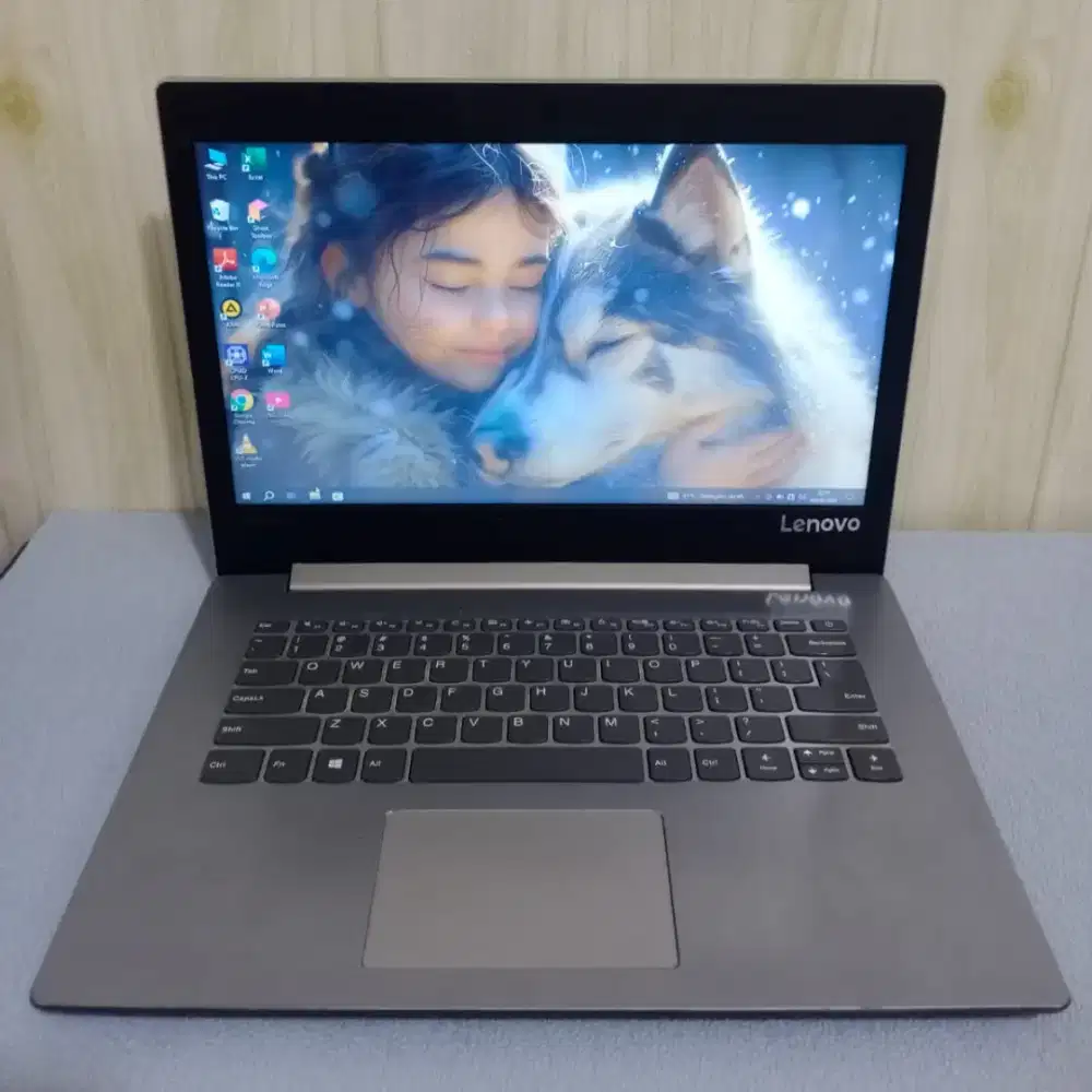 Lenovo Ideapad 81D5 AMD A9-9425 / RAM 4GB / SSD 128GB / AMD Radeon R5
