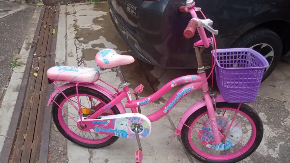 Sepeda pasific anak cewe murah kondisi bagus sekali