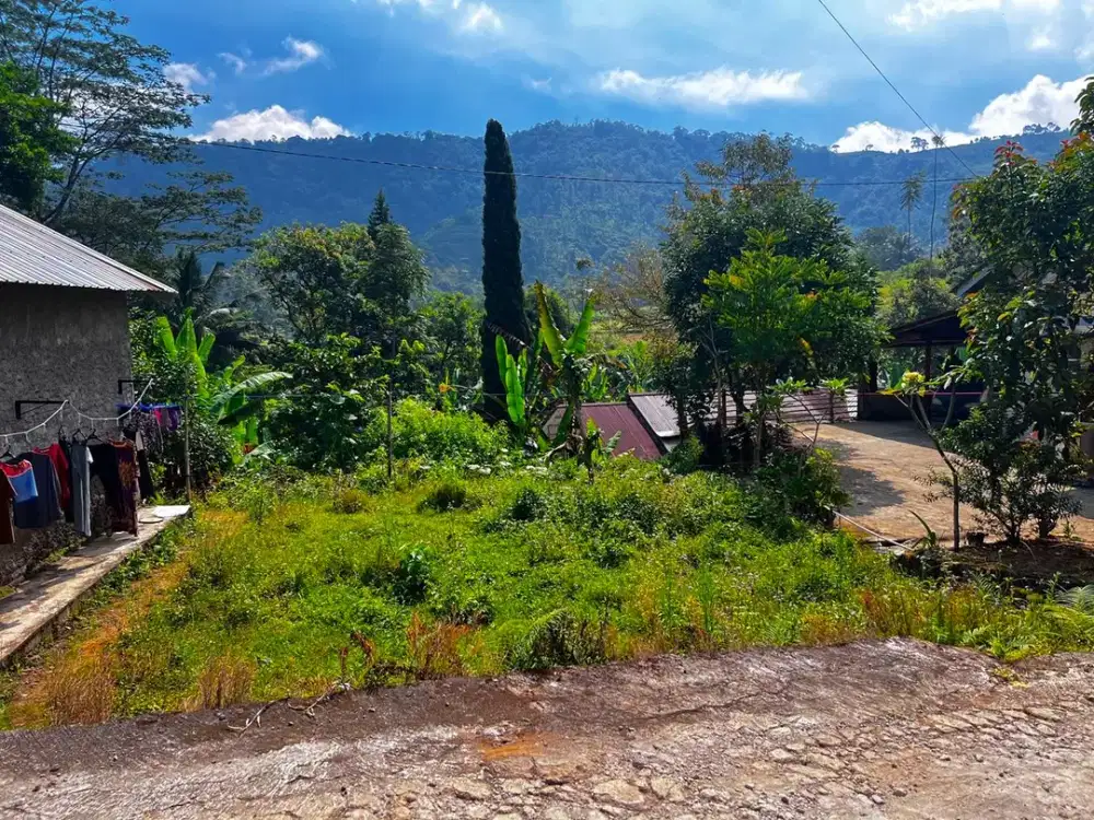 Tanah Strategis View Kebun Teh Kemuning, Ngargoyoso