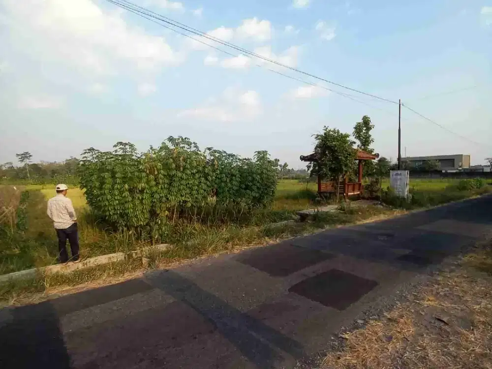 dijual tanah sawah di utaramasjid suciati