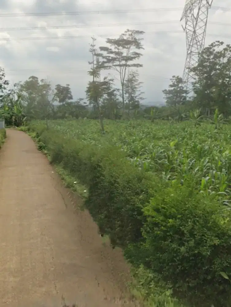 Tanah di jual cepat lokasi masuk mobil lokasi CIPARAY mekar laksana