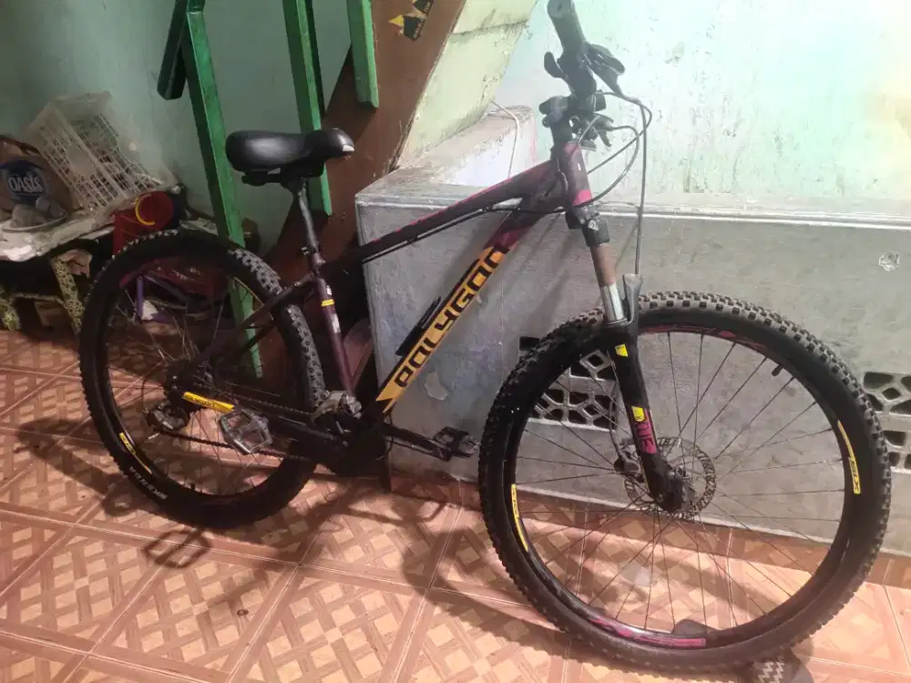 POLYGON PREMIER 4