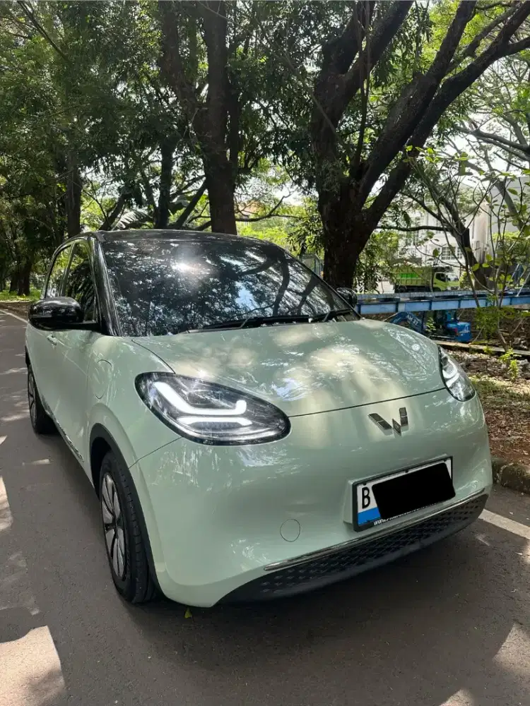 Wuling Binguo EV (Cash) 2024 Long Range