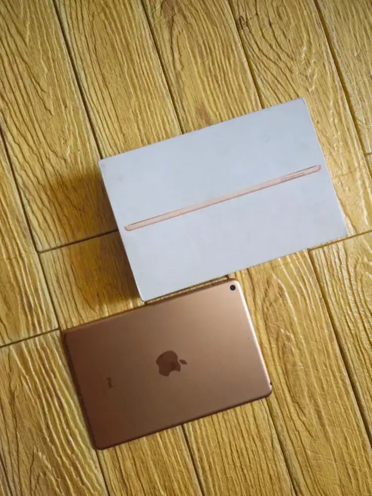 IPad Mini 5 64 GB Ex Inter
