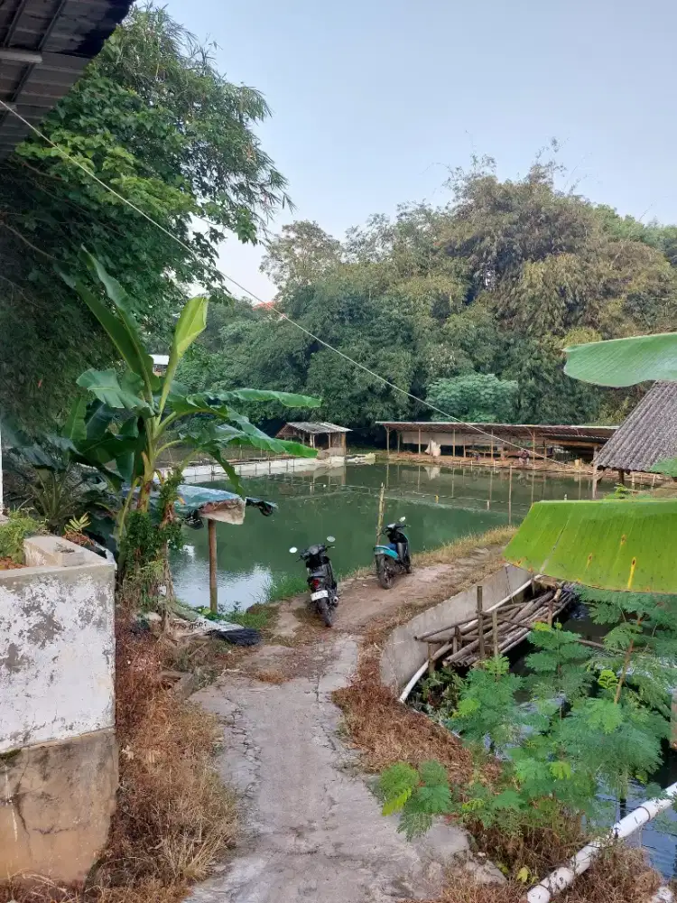 DIJUAL EMPANG 3675m²