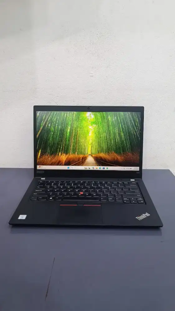 Lenovo Thinkpad T490