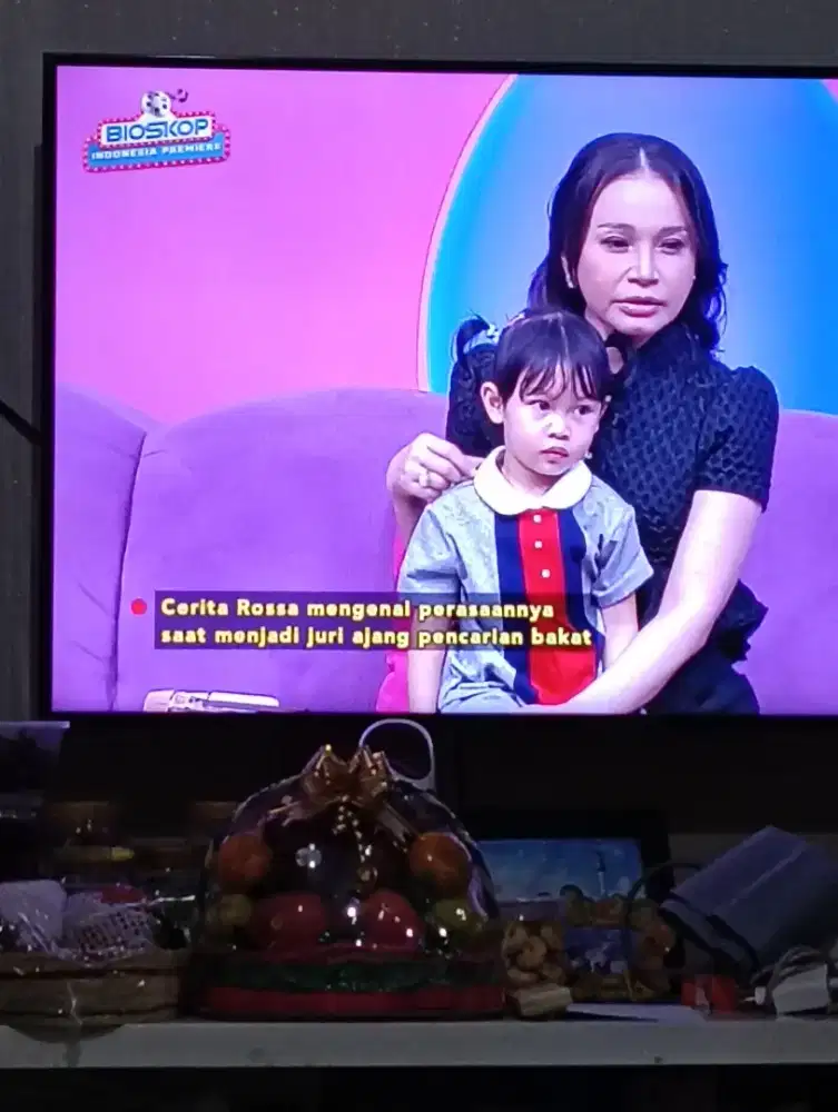 Lowongan Pekerjaan Asisten Rumah Tangga