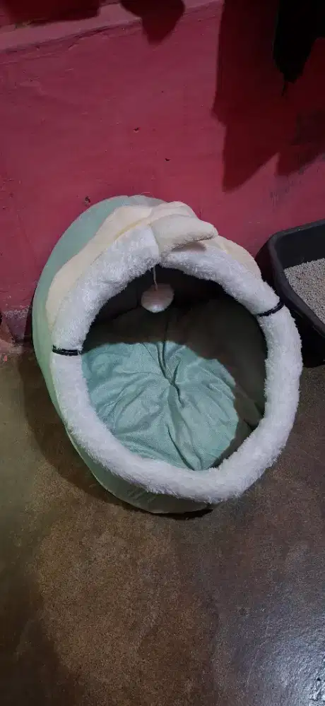 Tempat tidur kucing