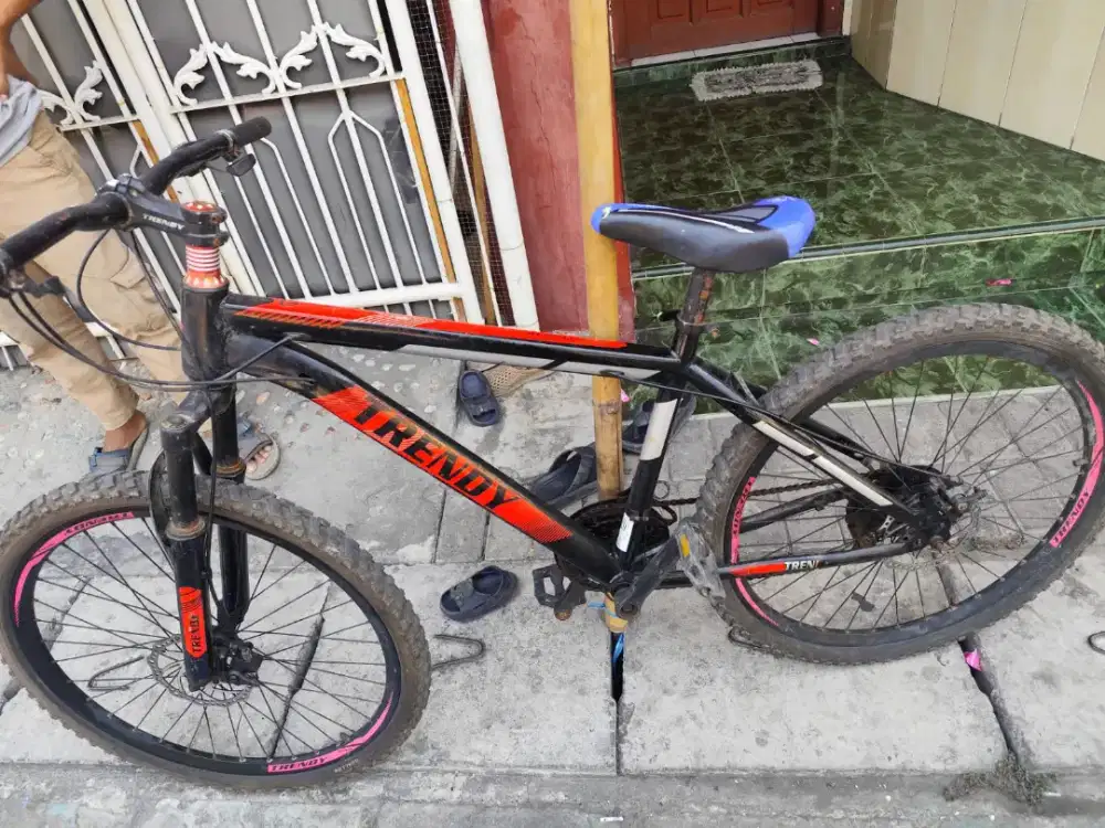 Sepeda mtb trendy