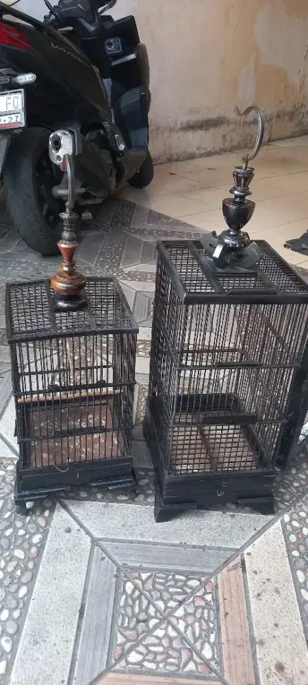 Sanggkar Burung kecil