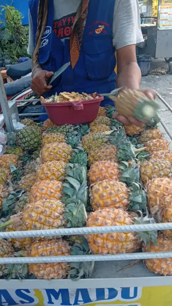 Dibutuhkan ART menginap