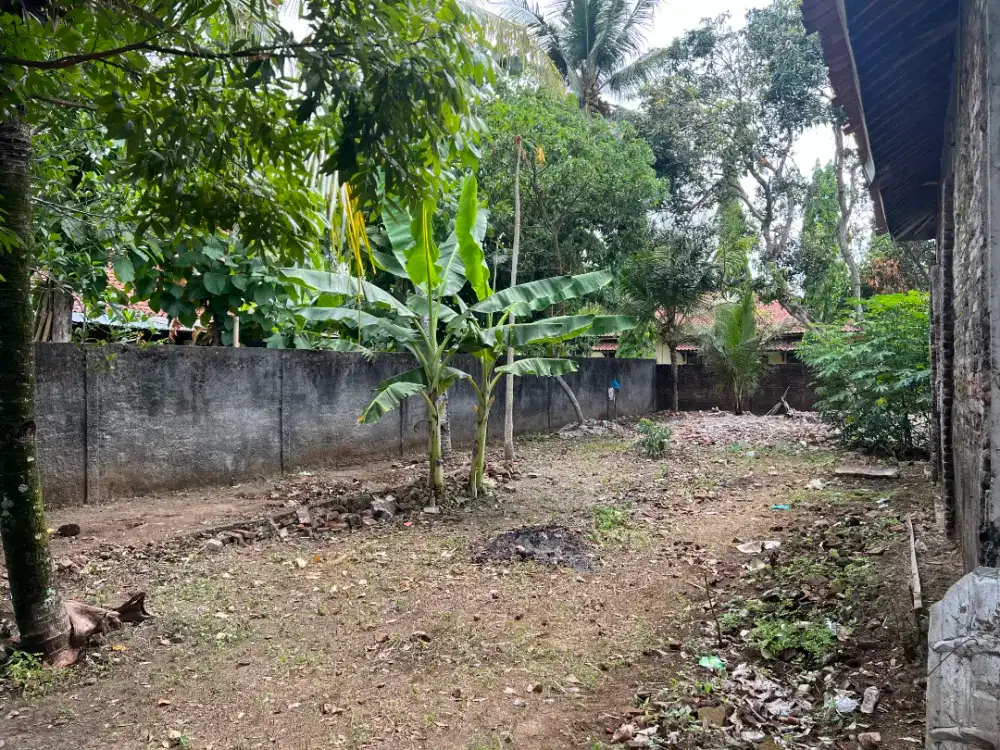 Dijual Tanah 450M Lokasi Strategis Dekat Stasiun Jenar Dan Bandara YIA