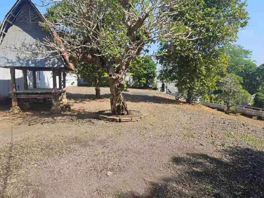jual tanah murah di kaba kaba tabanan bali lt 1500m2. hrga 750/ are/ 100m2