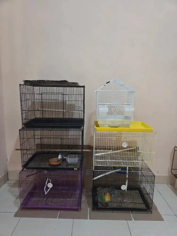 Kandang Burung 6 Pcs