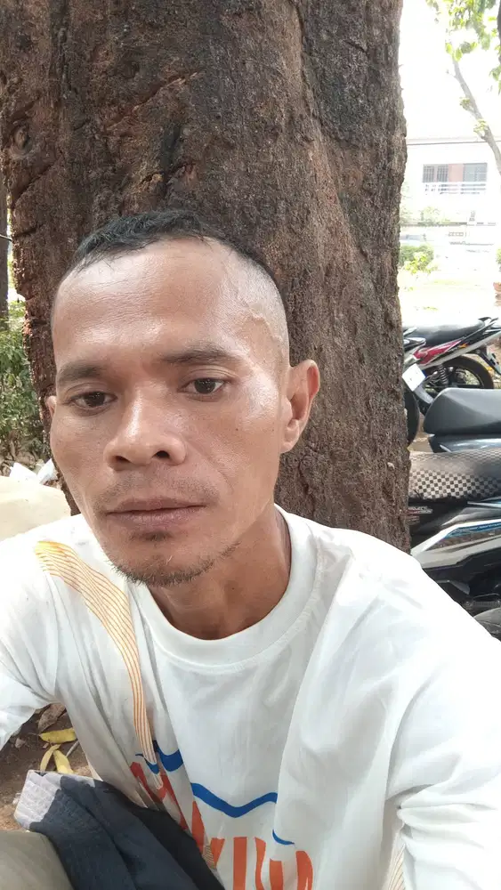 Driver sim b1,bisa manual dan matic