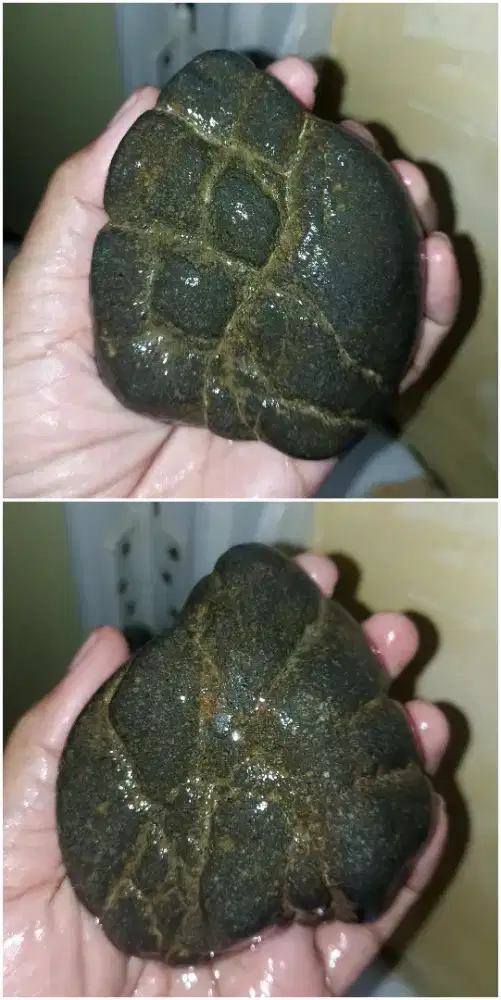 Bahan Tunggalan BADAR BESI Unik (Sakral)