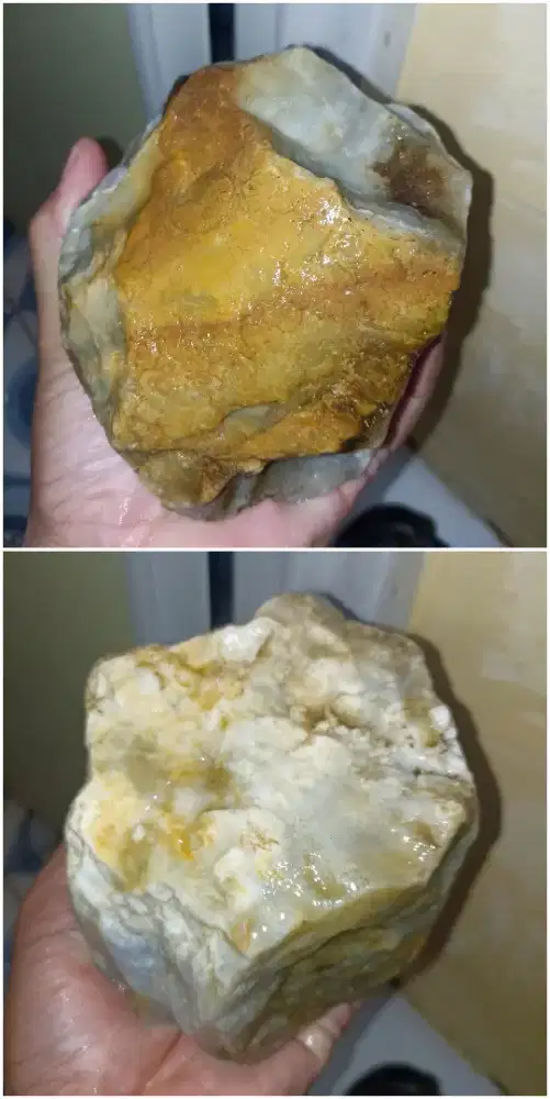 Bahan Tunggalan M@ni Gajah