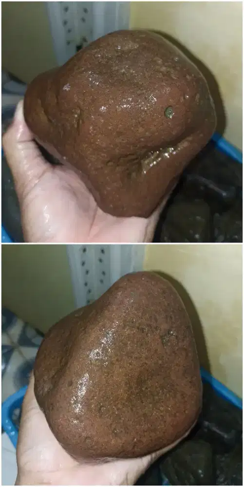 Bahanan BADAR BESI Merah Ati