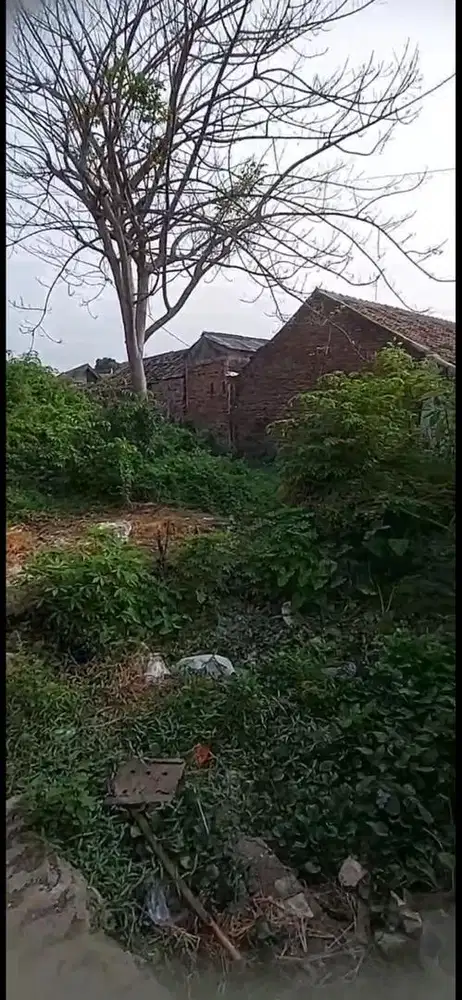 Dijual tanah luas sekitar 300m2 di belakang mcd Cikampek