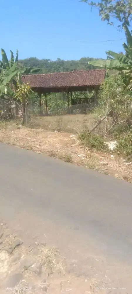 Di jual kebun pinggir jalan akses mbl