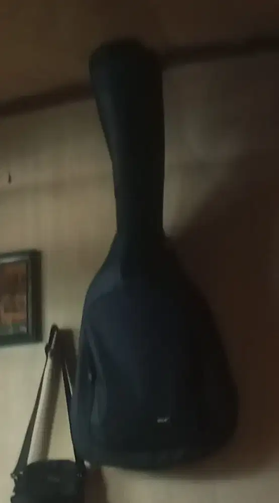 Gitar orca udah tanam besi