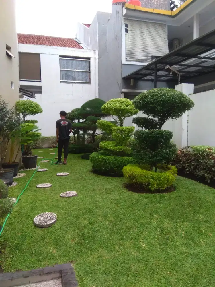 TUKANG TAMAN JASA TAMAN JOGJA