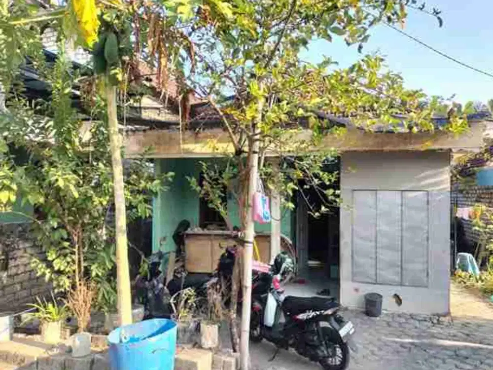 DI JUAL RUMAH

KEL. : BANGERAN
KEC. : DUKUN
KAB  : GRESIK