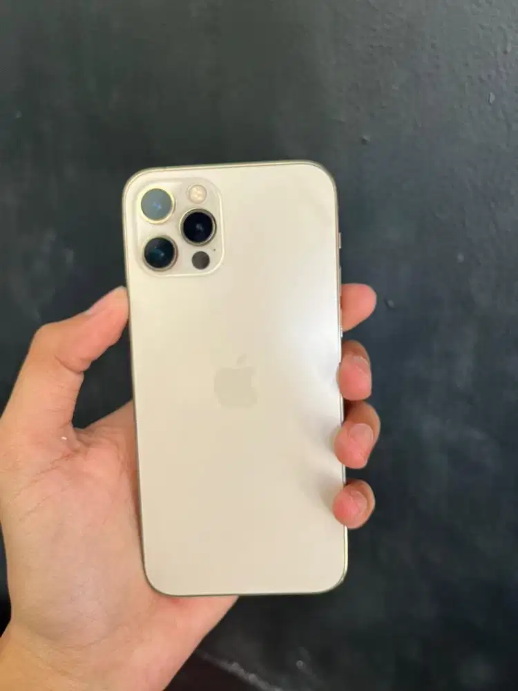 iphone 12 pro inter