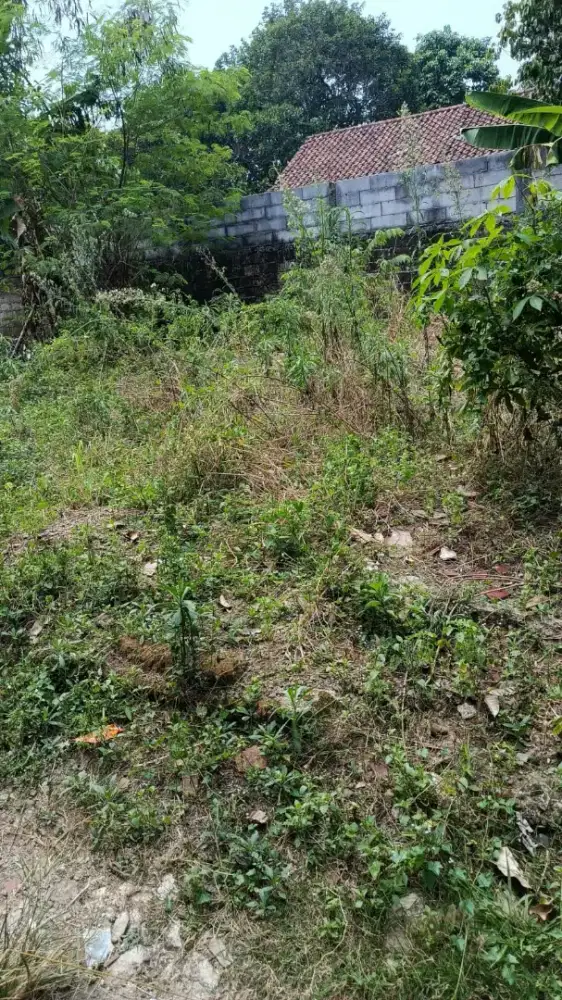 Tanah 100m  buat rumah  tinggal