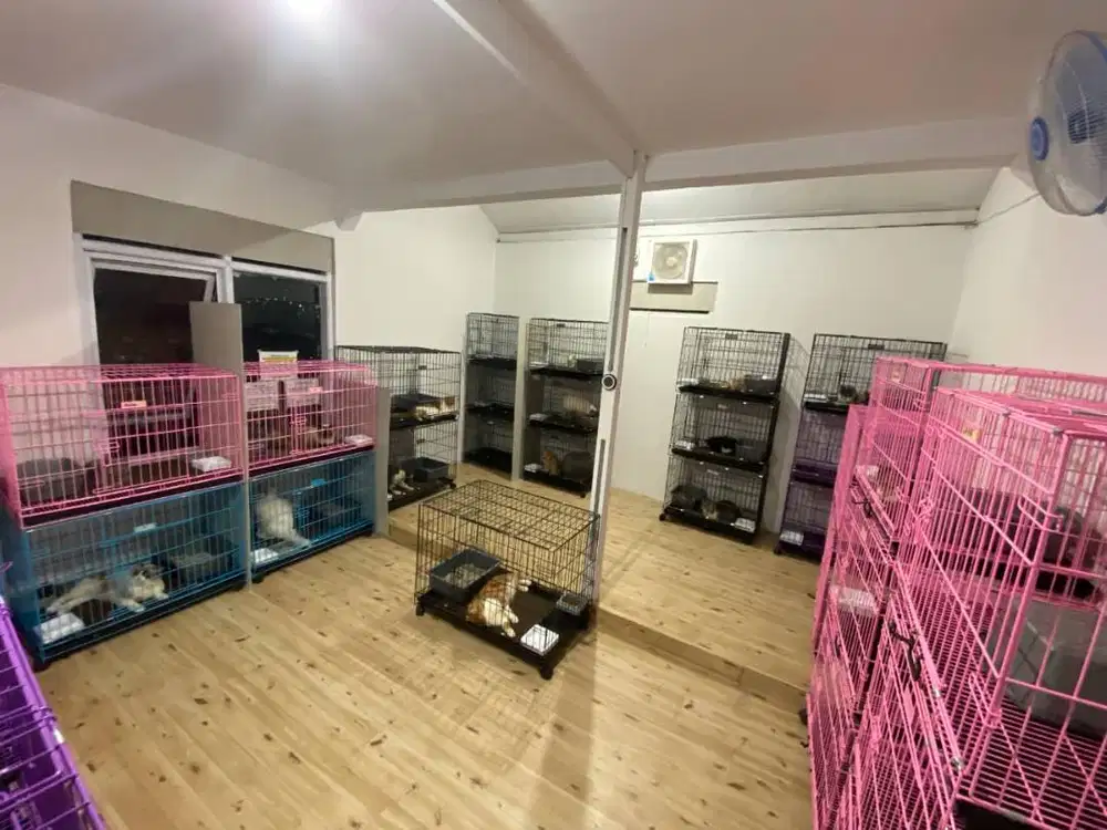 Dijual kandang kucing merk Octagon dan merk lainnya